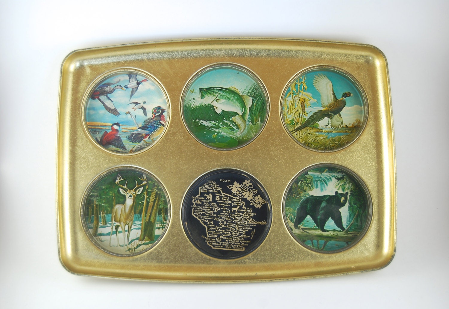 Vintage Souvenir Wisconsin Drink Tray Haute Juice