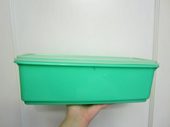 Groovy 1970s Tupperware Mint Green Celery Keeper Fridge