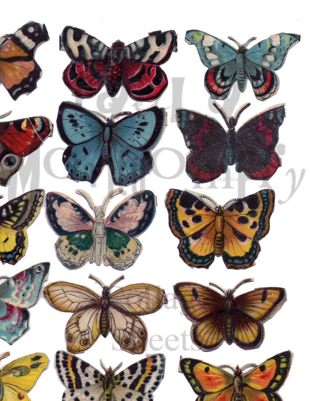 Butterflies Digital Download Collage Sheet from PaulaMontgomeryCS on ...