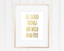 all good things are wild and free meaning all good things are wild and free meaning