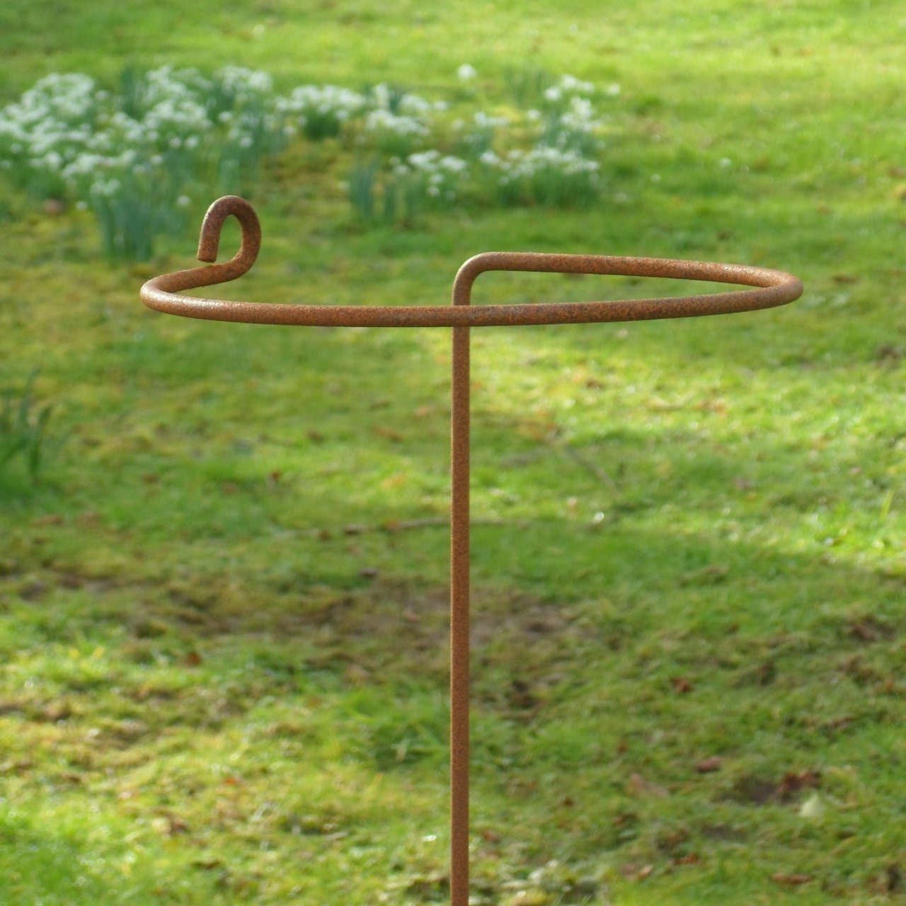 Hand made rusted metal wrap around plant supports. Arrondi