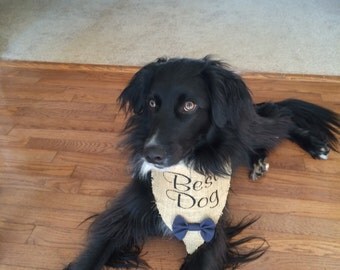 Burlap Best Dog Wedding Bandana