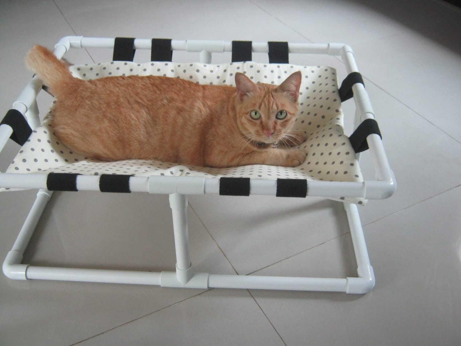 Cat Bed Cat Cot Cat Hammock Small Pets Hammock Cat
