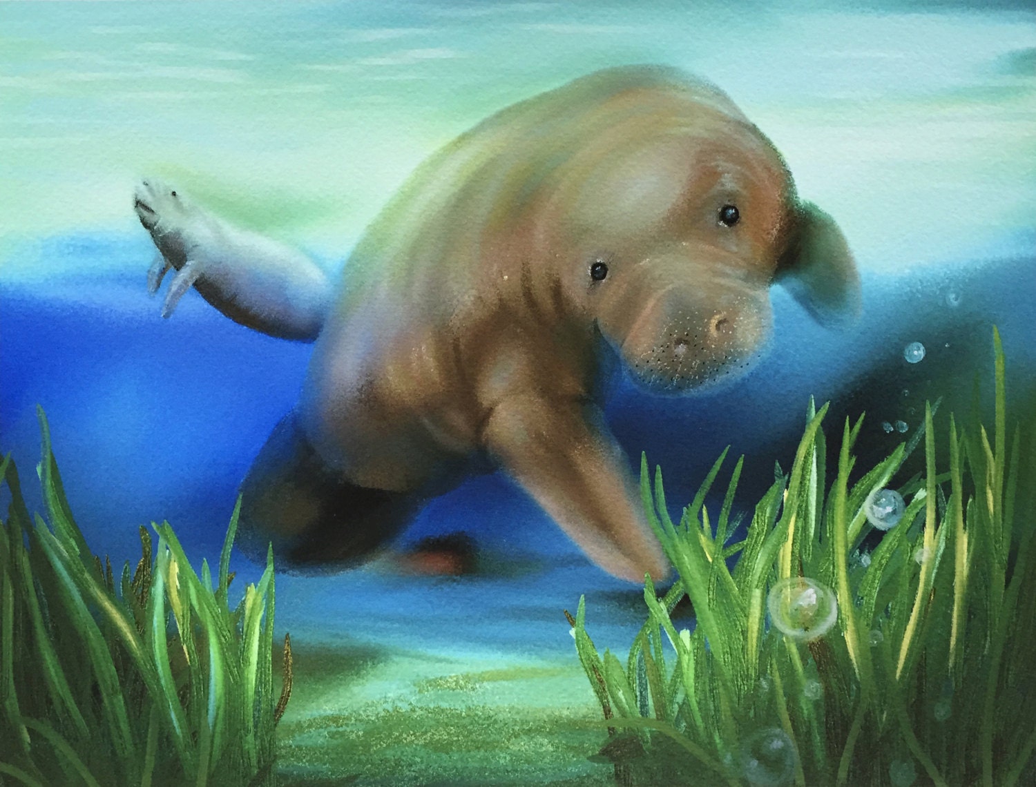 Manatee Digital Art Print A Beautiful By Santillihousecreativ