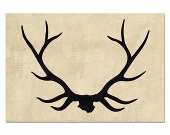 Elk antlers, Antler drawing, Elk horns