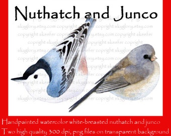 Nutchatch clip art Junco clip art Christmas clip art Holiday clip art Bird clip art Watercolor clip art Winter bird White-breasted Snowbird