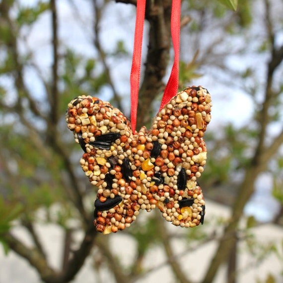 bird seed ornaments craft kit for kids with supplies bird seed ornaments craft kit for kids with supplies