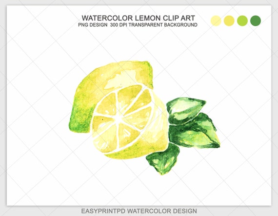 lemon lime clipart - photo #37