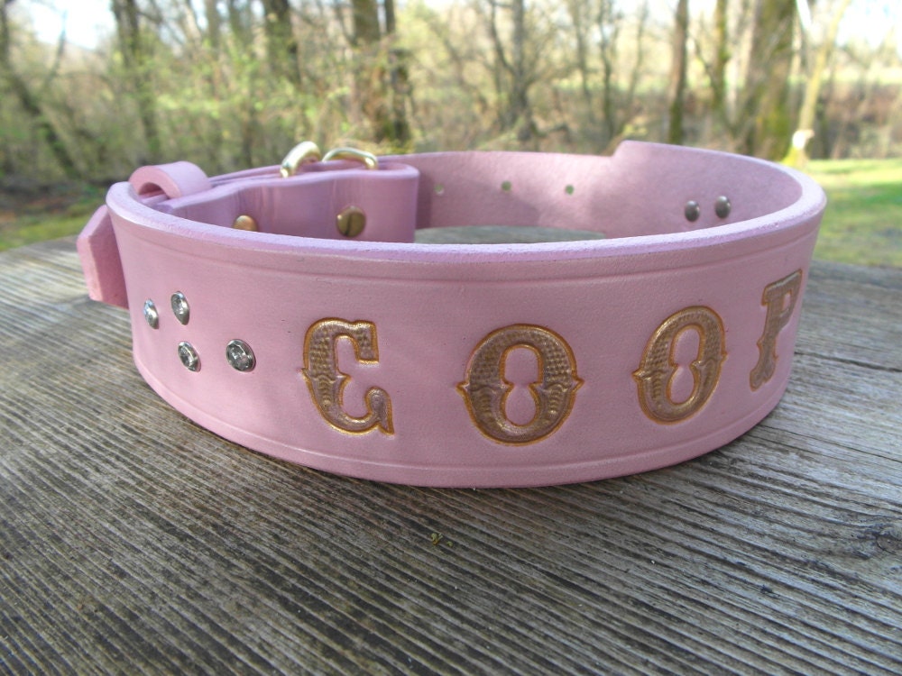 Pink Leather Dog Collar with Name Engraved Girl by HiHorseRanch