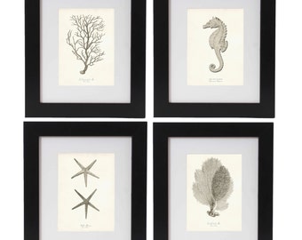 Coastal Decor Beach Art, Coastal Print Set, Shore House Decor, Beach Art, Greige Art, Starfish Print, Seahorse, Corals, Prints and Posters