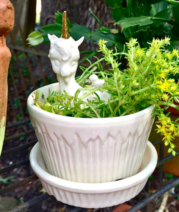 Great Vintage Glazed Ceramic Flower Pot with Attached Saucer