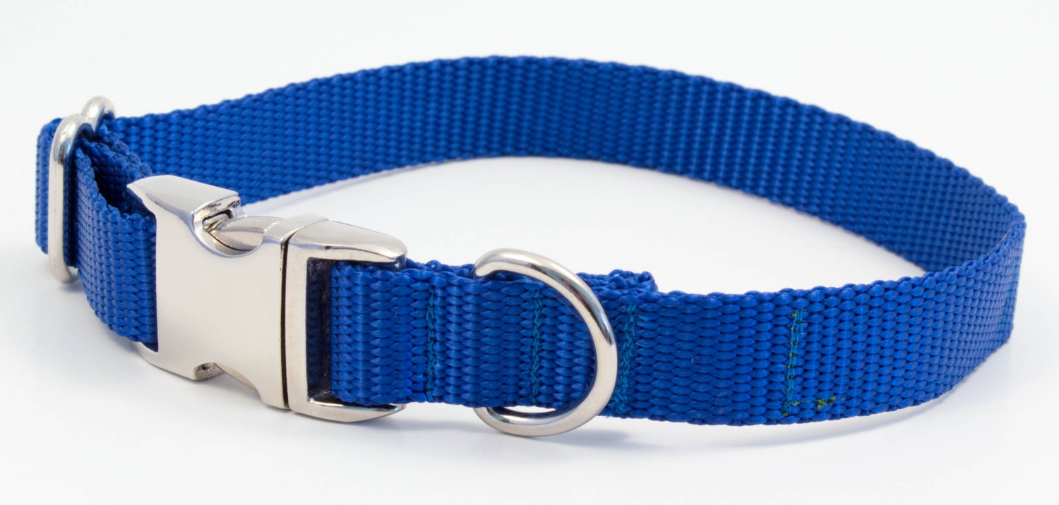 Royal Blue Dog Collar Slim / Classic / Nylon Webbing