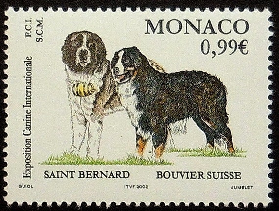 Saint Bernard Dog Bouvier Suisse Monaco Handmade Framed Saint Bernard Dog Bouvier Suisse Monaco Handmade Framed