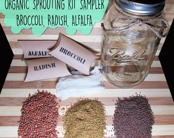 mason jar aquaponics organic kit start your new by greenplur