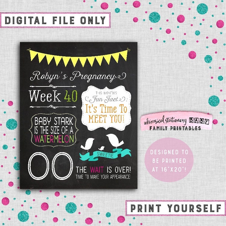 Pregnancy Countdown Printable Posters Bunting & By