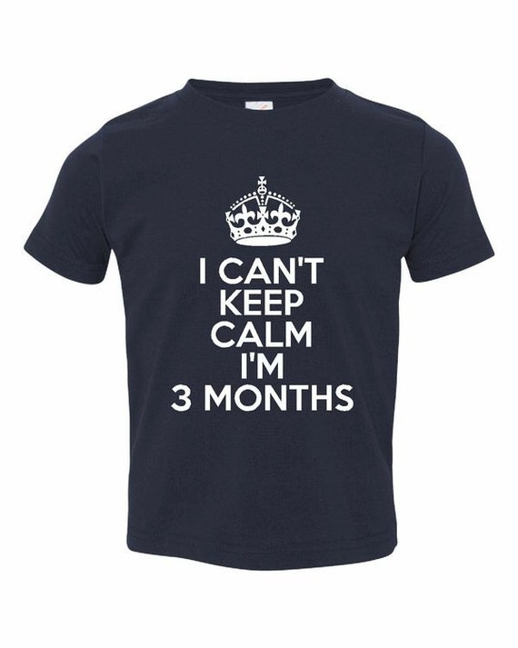 Hilarious I Can't Keep Calm I'm 3 Months Tshirt.