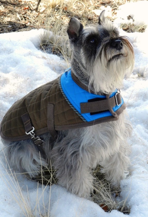 Turquoise & Brown Harlequin Winter Dog Coat Medium by KFEpetgear