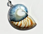 Ecofriendly Tiger Shell Silver Nautilus Shell Necklace Silver Sea Shell Pendant