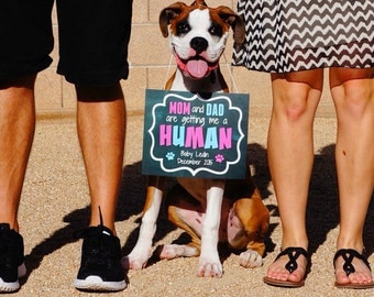 Printable Dog / Cat Pregnancy Announcement - Getting Me A Human / Getting Us A Human Photo Prop - Digital Download / Chalkboard - Pet - JPEG
