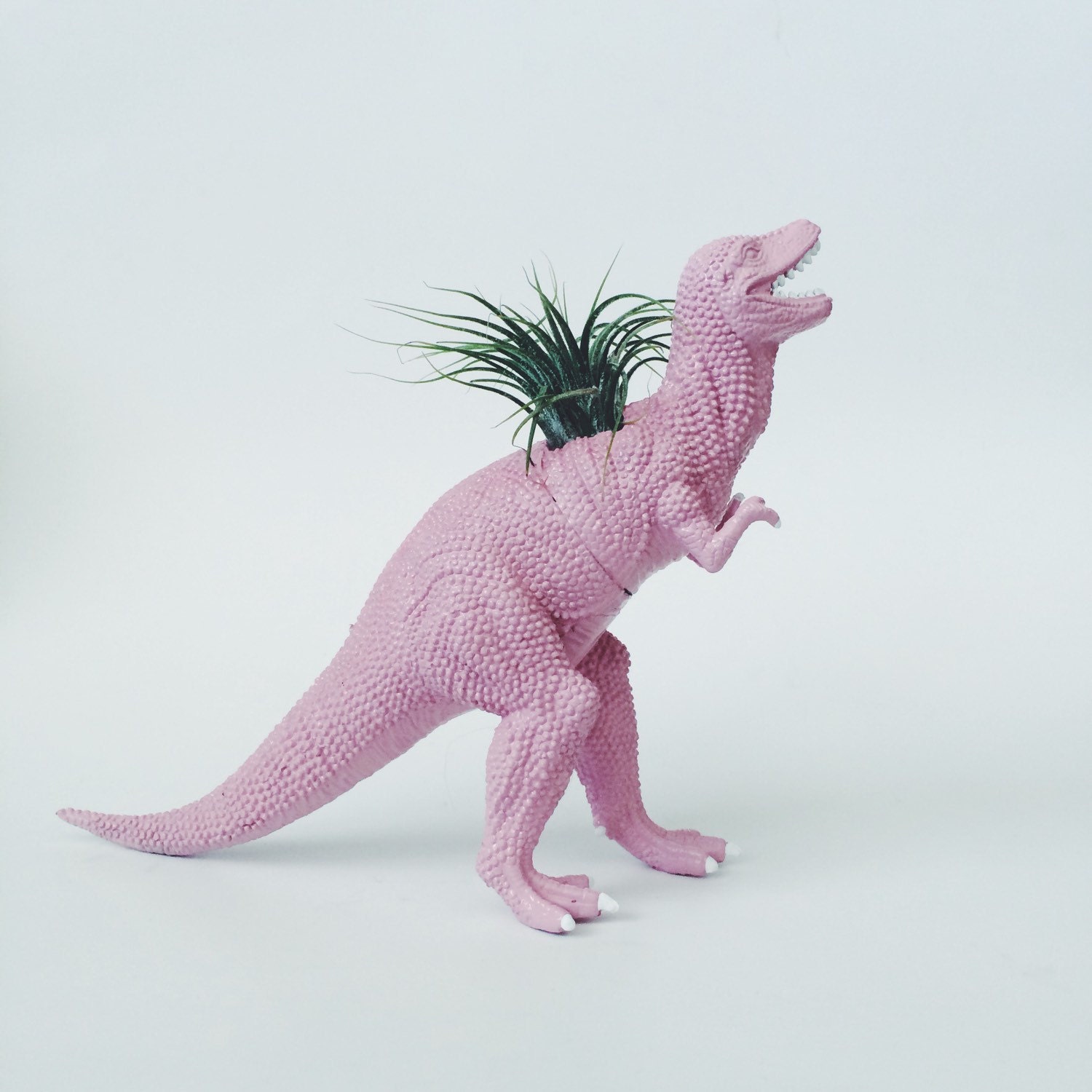 pink t rex