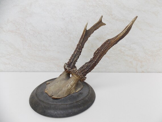 Belle paire de roe andouiller avec une partie de par vintageheada Chevreuil Literie décor