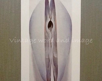 Georgia O'Keeffe White Seashell Art Print Vintage Lithograph Beach House Decor 20th Century Modern Clam Shells Dorm Room American Modernism