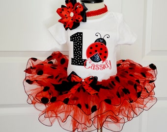 first Birthday Outfit girl,Ladybug First Birthday Outfit,Girls first Birthday Outfit,ladybug Birthday Outfit,cake smash outfit girl,