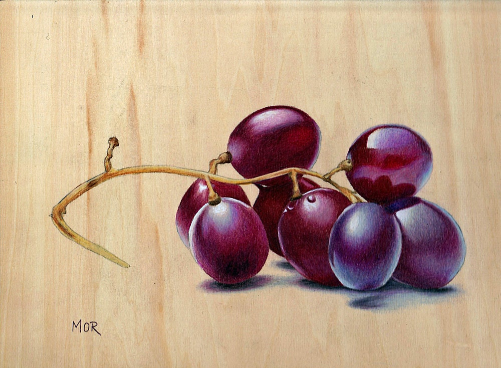 Red Grapes original colored pencil drawing on by DietrichsArt