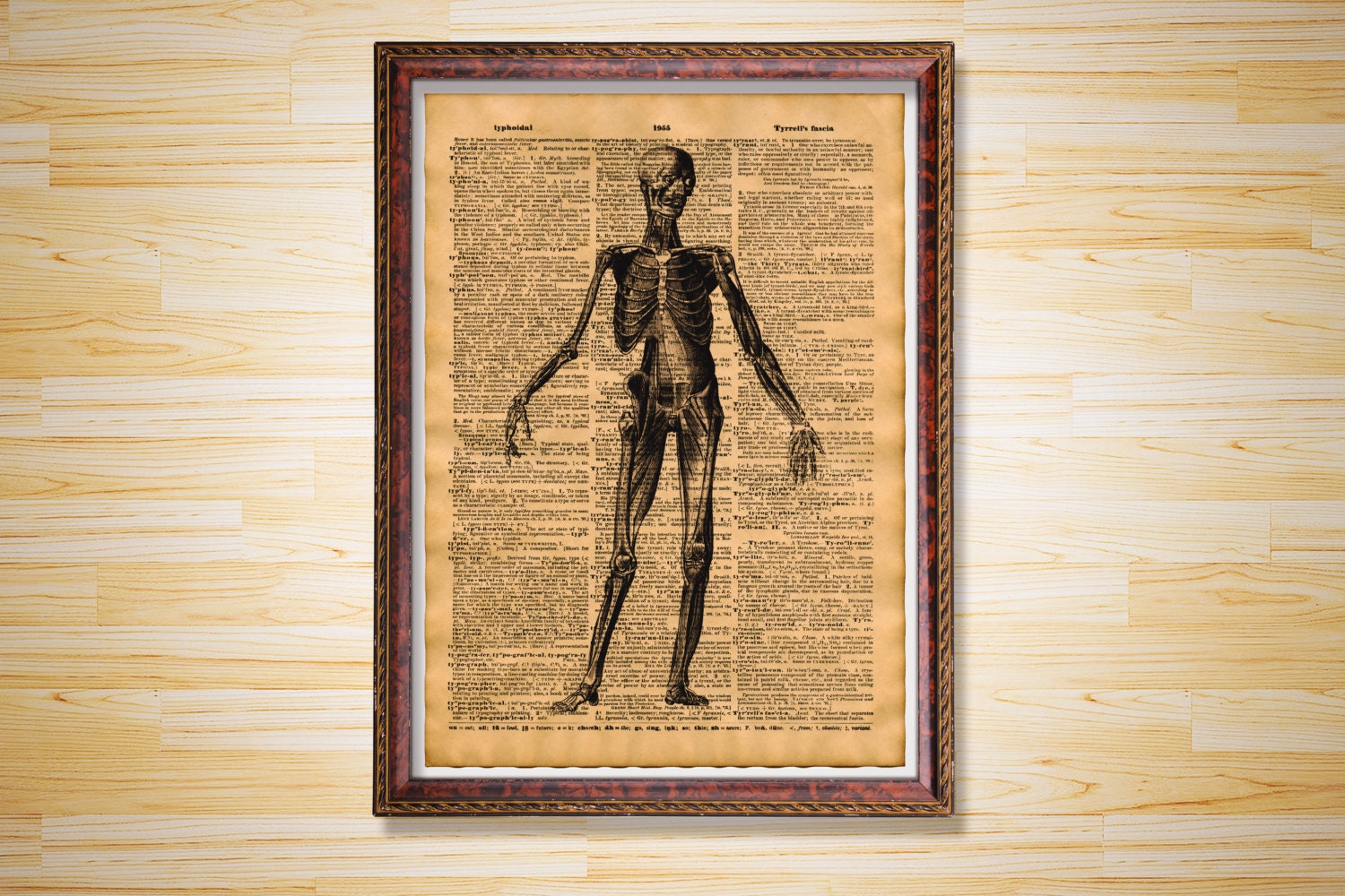 Skinless Human body decor Anatomy print Medical poster