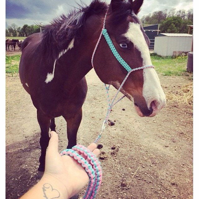 Paracord Horse Halter Horse Halter Horse Tack Pony by ShopSabu