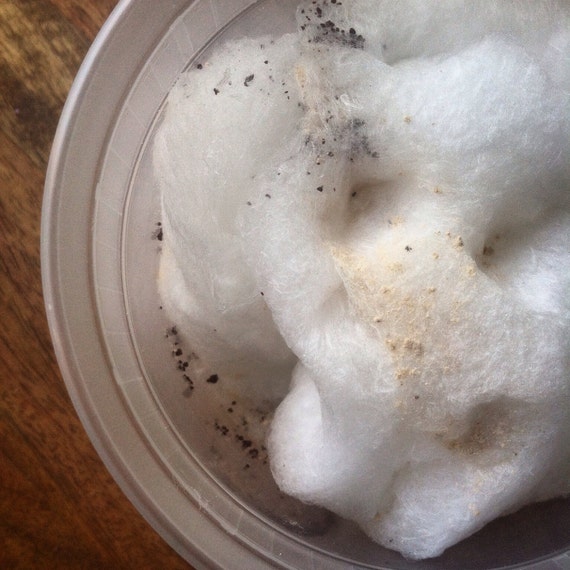 Peanut Butter/Dark Chocolate Cotton Candy by SugarWisps on Etsy