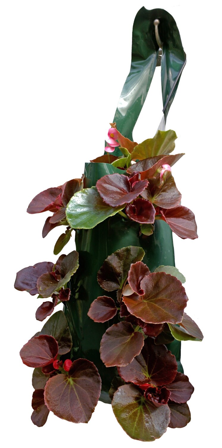 Al's Flower Pouch Hang Anywhere and Grow Amazing Flowers