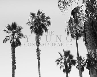 Venice Beach California Palm Trees (Digital Photograph Download)