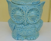 Owl Planter or Canister in Aqua Kitchen Home Decor Housewarming gift Birthday Gift Garden Gift