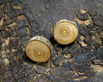 Rustic Peach - Prunus persica - Twig Wooden Stud Earrings by Tanja Sova