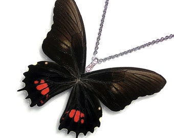 Real Butterfly Wing Necklace / Pendant (WHOLE Papilio Isidorus Butterfly - W123)
