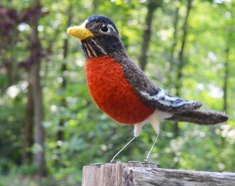 Mr. American Robin, needle felted bird art sculpture