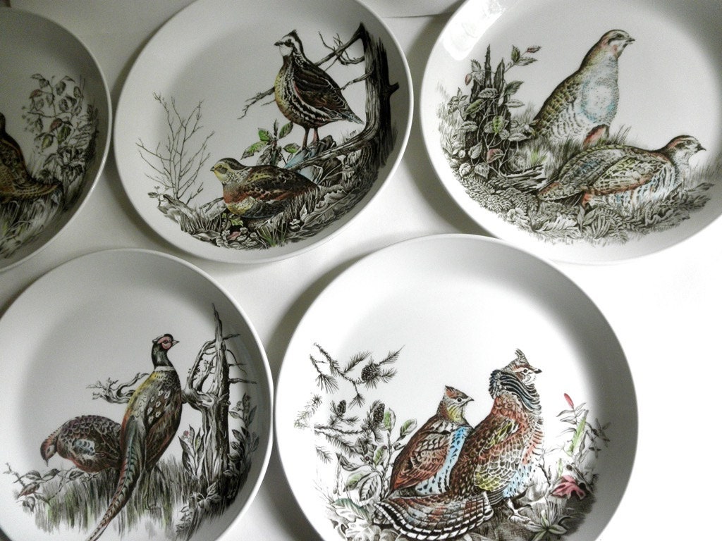 JOHNSON Brothers GAME BIRDS Dinner Plates Set of 5 Vintage 60s