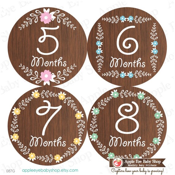 Baby Month Stickers Monthly Baby Stickers Baby Girl