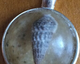 Popponesset beach sand / seashell pendant (b)