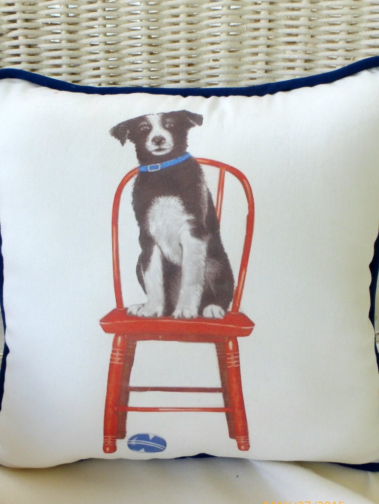 Accent Pillow Decorative dog Pillow border collie animal