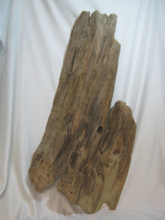 Flat Driftwood Large Driftwood Rare Amazing Piece