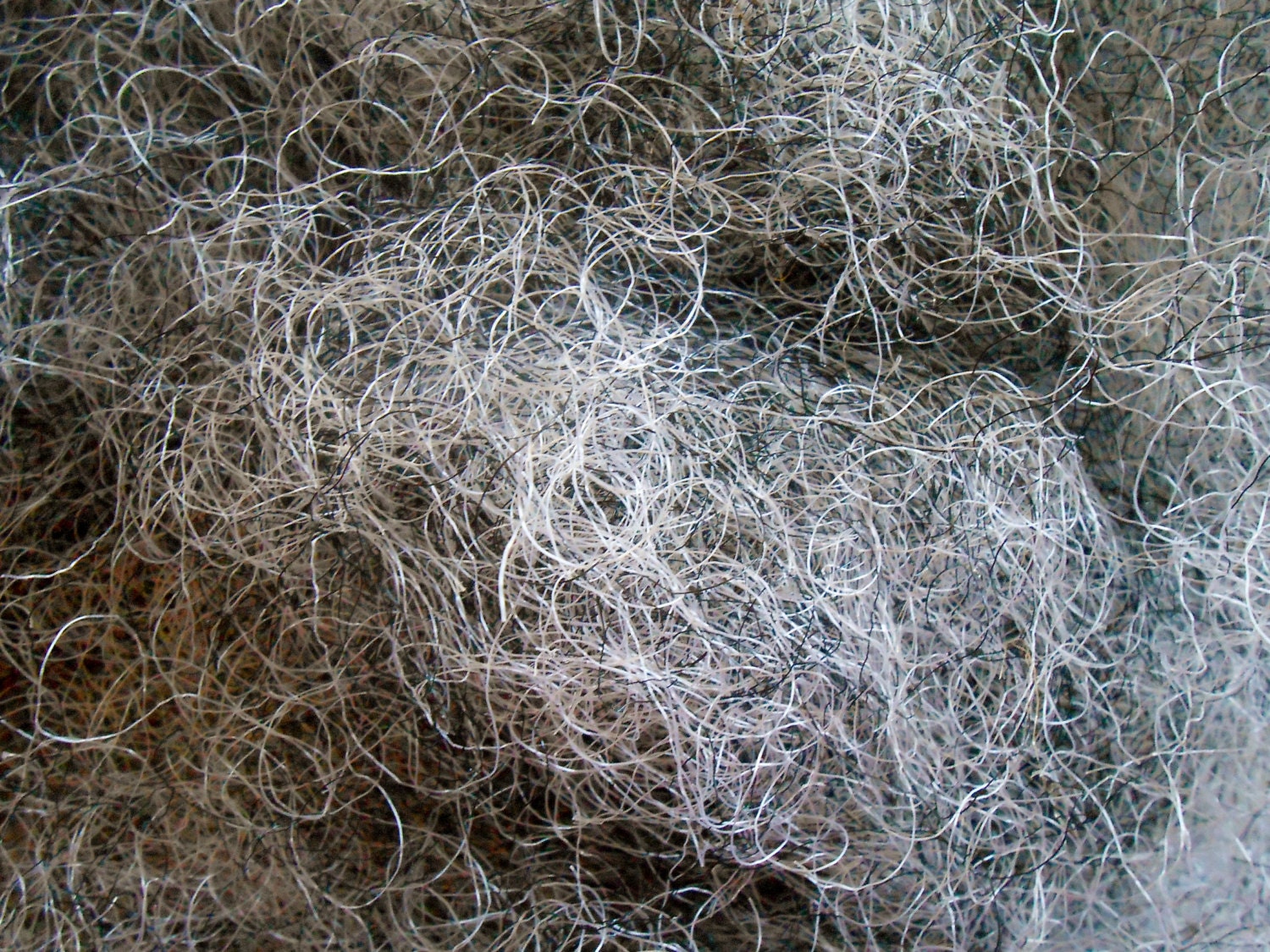 Horsehair Upholstery Supply Horse Hair U.S. Shipper 1 Pound