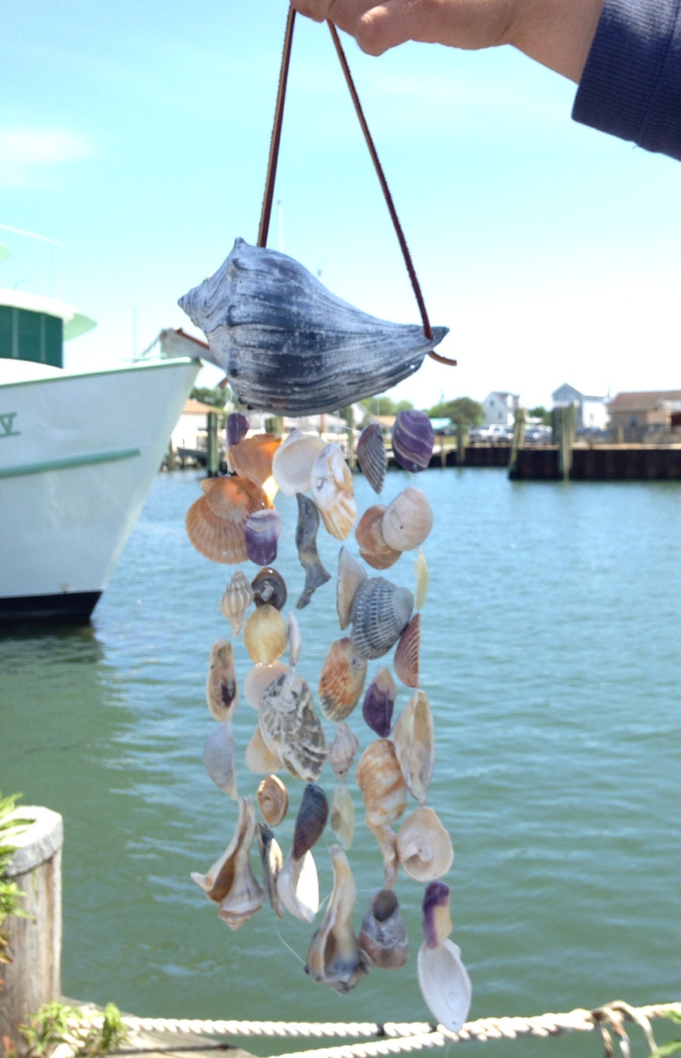 Whelk Conch Chime Beach Chime Sea Shell Windchime Beach