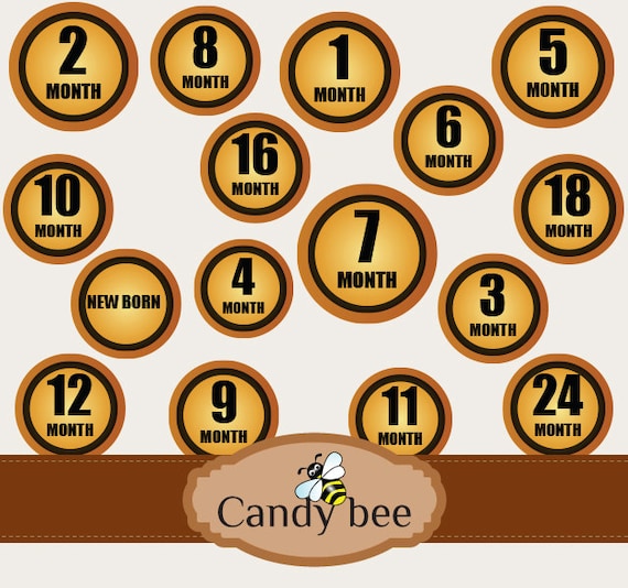 Baby Monthly Milestone Sticker Printable by CandyBeeDesigns
