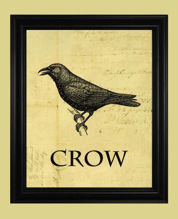 Crow Art Illustration Vintage Black Crow By TheSpottedBlackbird