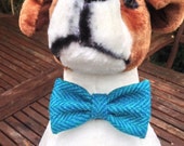 Harris Tweed Bow Tie - The Harry bow tie, Herringbone, dog accessory, canine bling