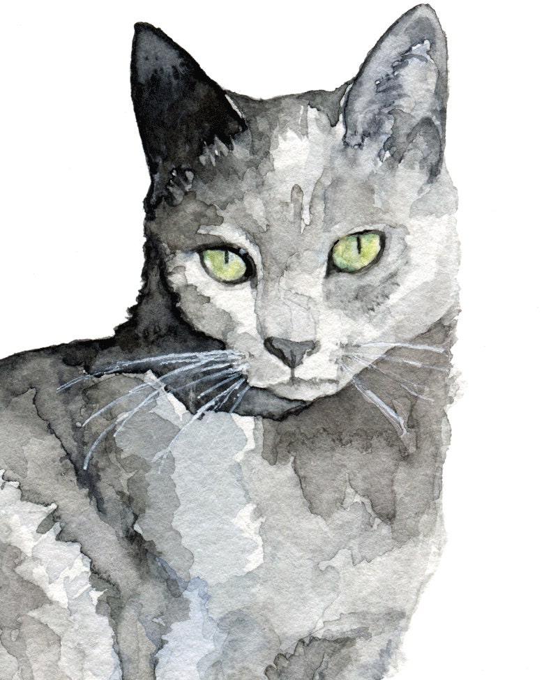 Grey Cat  Painting  Print from my Original Watercolor  Painting 
