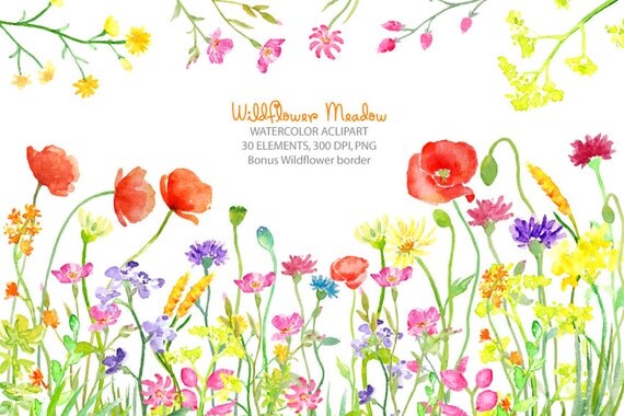 Watercolor clipart Wild flower meadow border instant