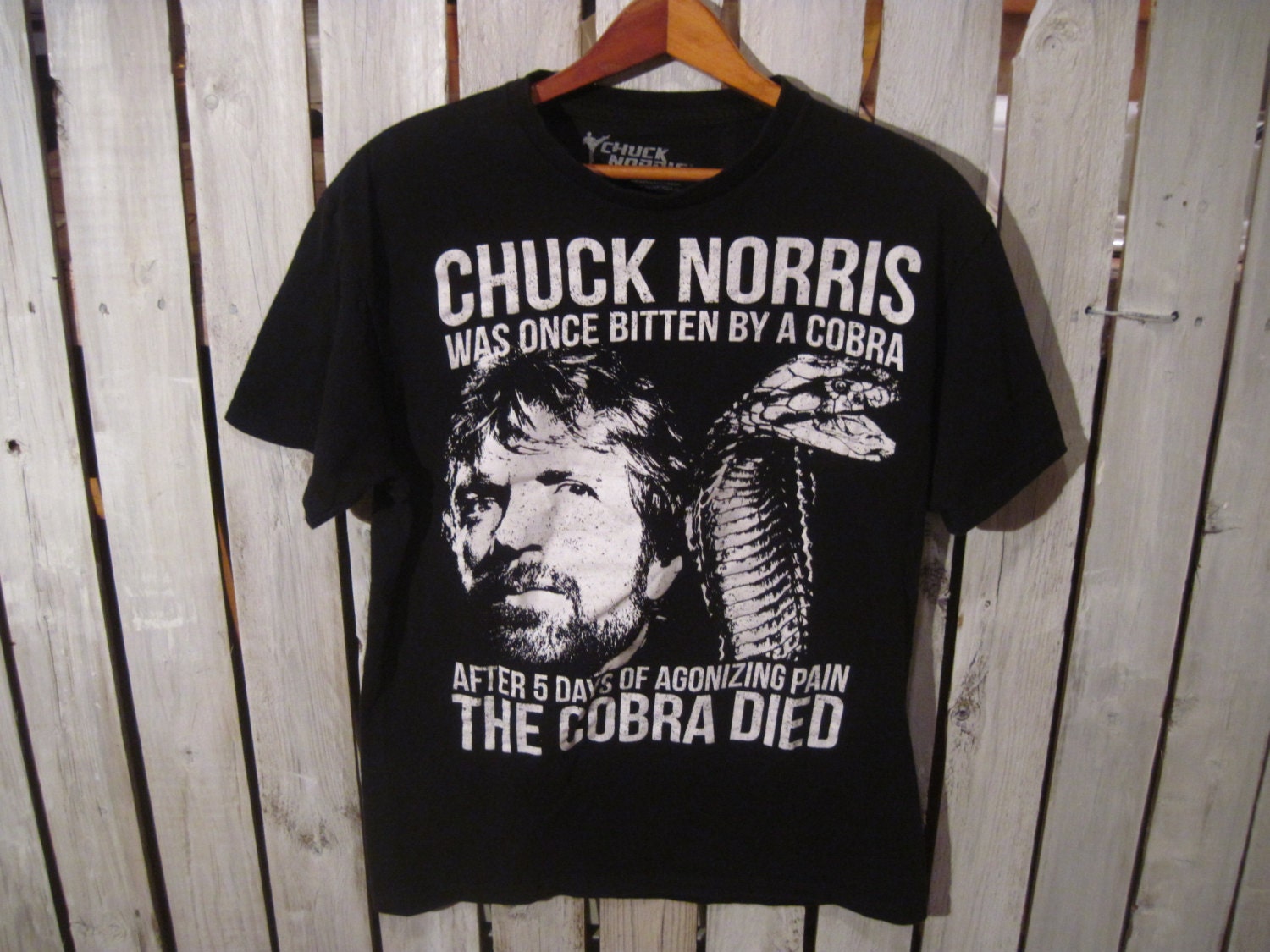 chuck norris no shirt